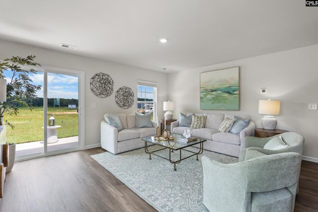 173 Calm Citadel Drive, Pelion, SC 29123