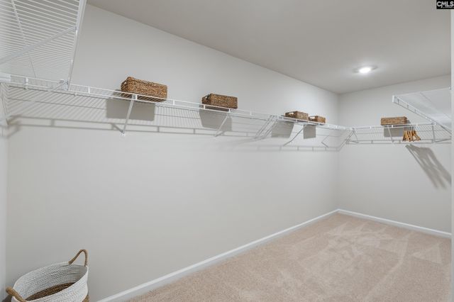 173 Calm Citadel Drive, Pelion, SC 29123