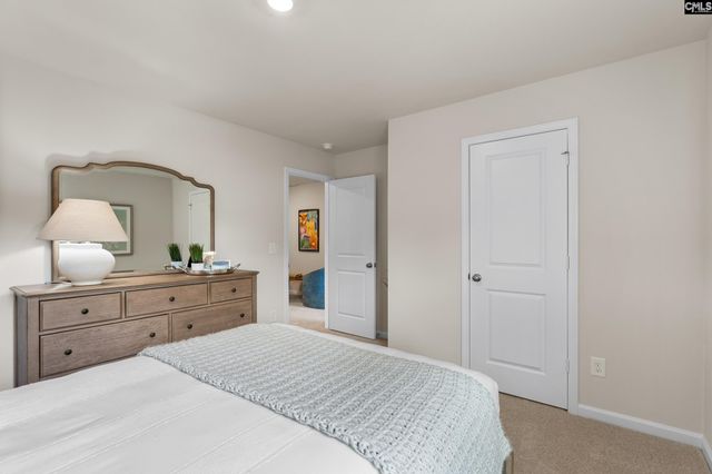 173 Calm Citadel Drive, Pelion, SC 29123