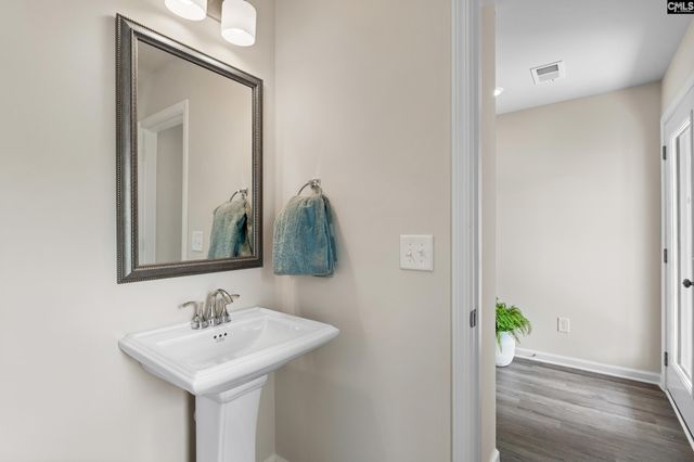 173 Calm Citadel Drive, Pelion, SC 29123