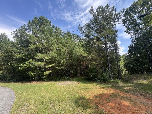53 Lakeland Drive, Ellijay, GA 30540