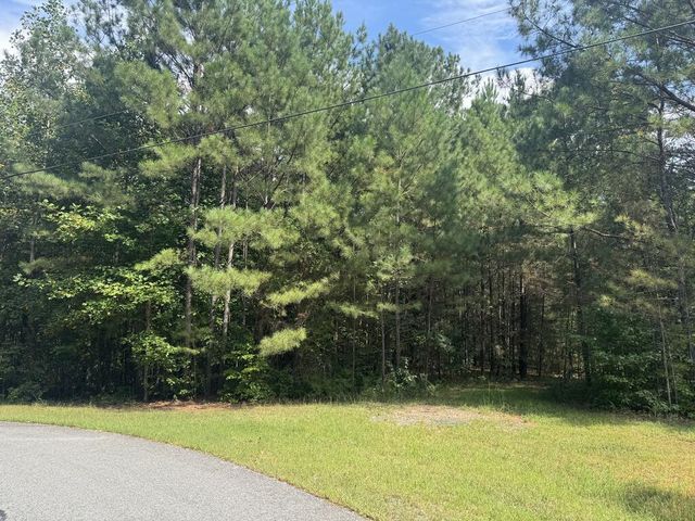 53 Lakeland Drive, Ellijay, GA 30540