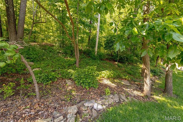 3067 Crystal Lake Drive, St Louis, MO 63129