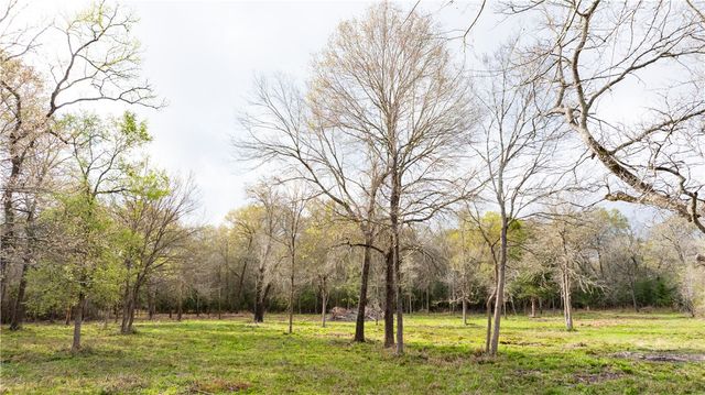 1602 Millican Meadows Circle, College Station, TX 77845