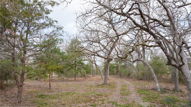 1602 Millican Meadows Circle, College Station, TX 77845