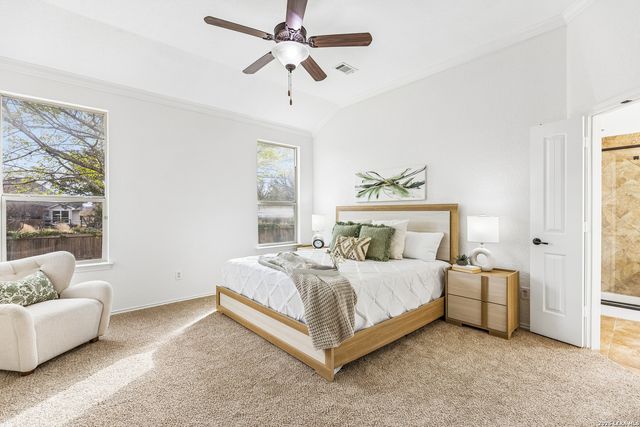 3213 Pencil Cholla, Schertz, TX 78154