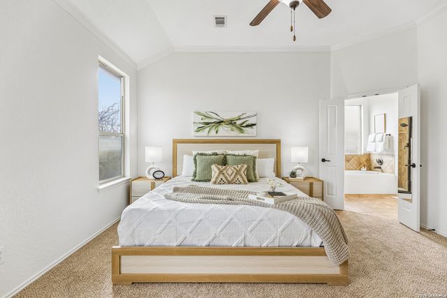 3213 Pencil Cholla, Schertz, TX 78154