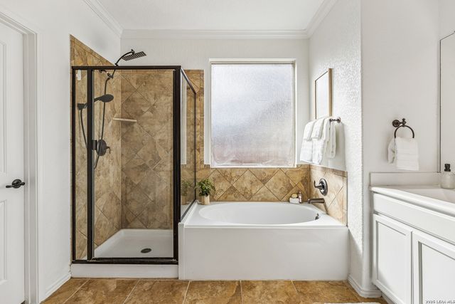 3213 Pencil Cholla, Schertz, TX 78154