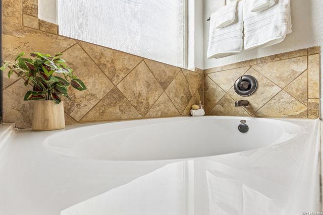 3213 Pencil Cholla, Schertz, TX 78154