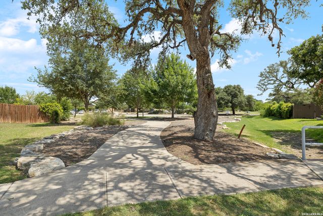 3213 Pencil Cholla, Schertz, TX 78154