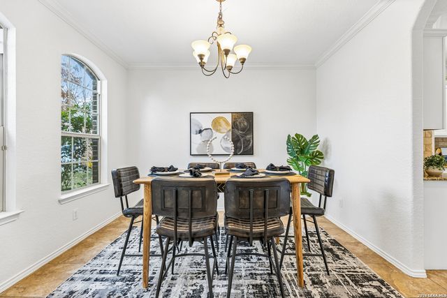 3213 Pencil Cholla, Schertz, TX 78154