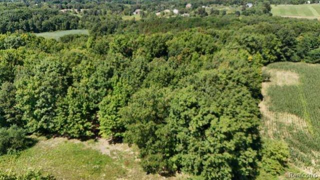 Parcel 4 Sycamore St, Dryden, MI 48428