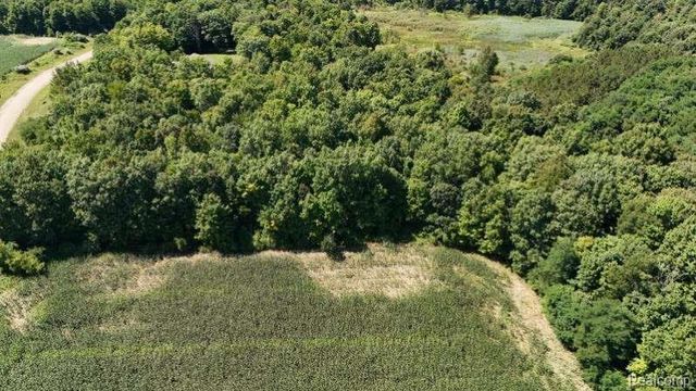 Parcel 4 Sycamore St, Dryden, MI 48428