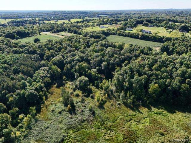 Parcel 4 Sycamore St, Dryden, MI 48428