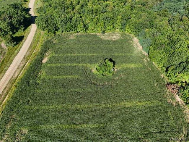 Parcel 4 Sycamore St, Dryden, MI 48428