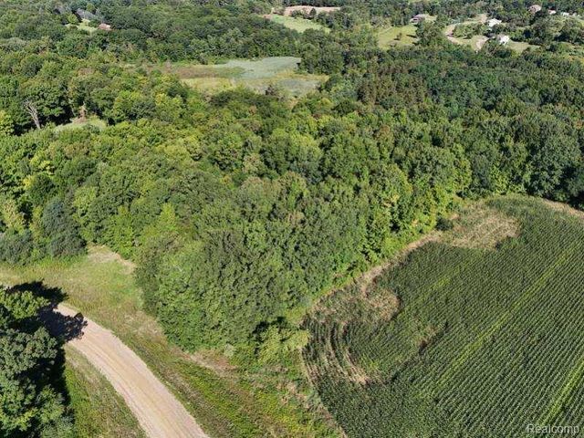 Parcel 4 Sycamore St, Dryden, MI 48428