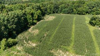 Parcel 4 Sycamore St, Dryden, MI 48428