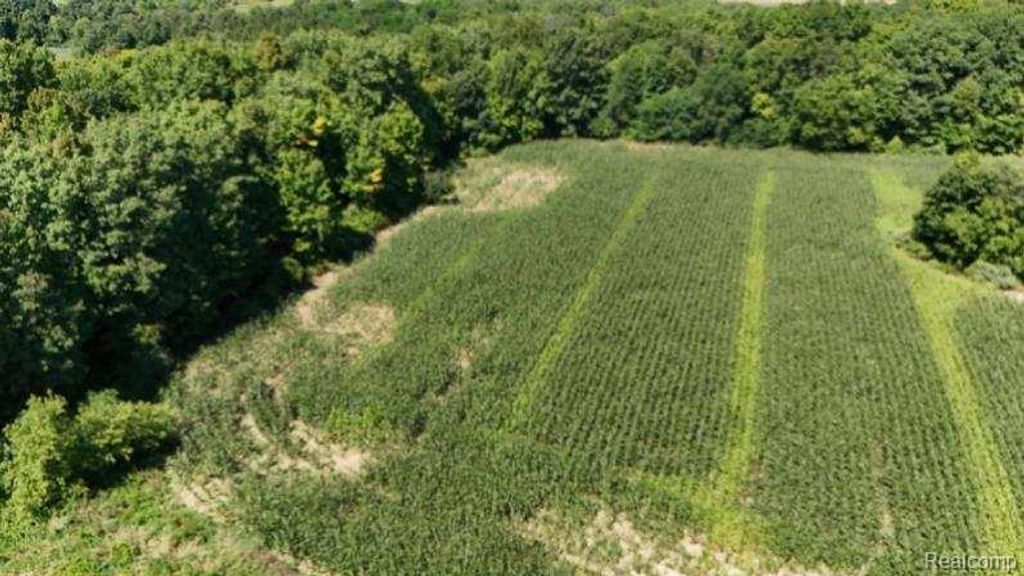 Parcel 4 Sycamore St, Dryden, MI 48428