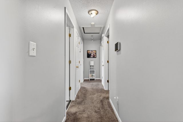 1630 Hannibal Dr, Oak Grove, KY 42262