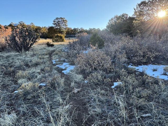 27 PUNCH Court, Tijeras, NM 87059