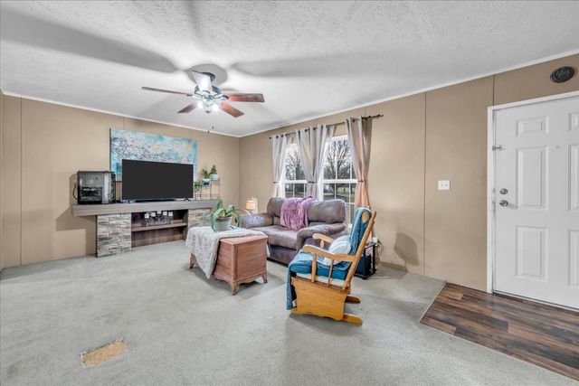 599 A B Frazier Rd, Smithville, TN 37166