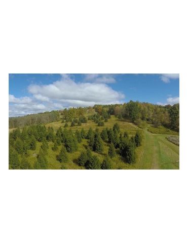 814 County Road 38, Guilford, NY 13733