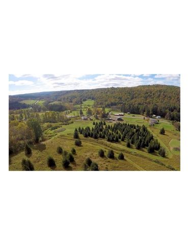 814 County Road 38, Guilford, NY 13733