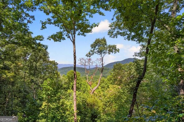 778 Walnut Mountain Road, Ellijay, GA 30536