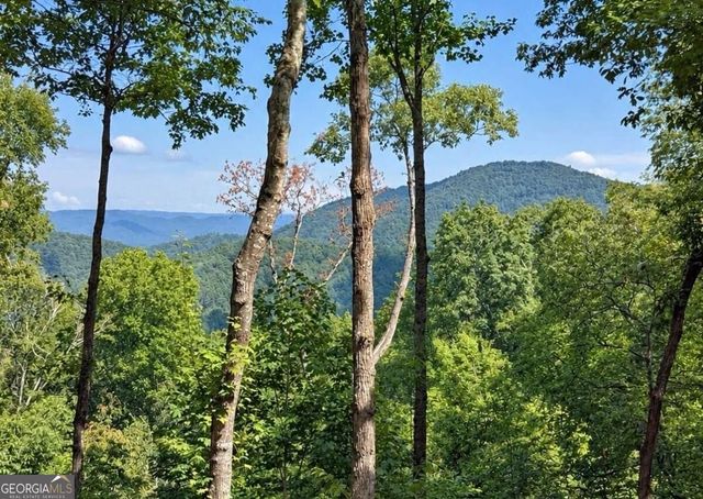 778 Walnut Mountain Road, Ellijay, GA 30536