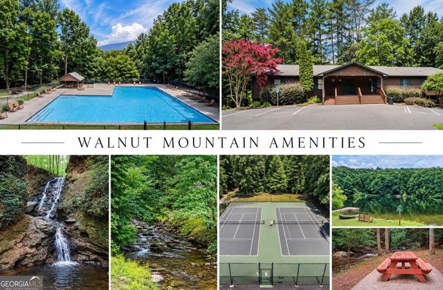 778 Walnut Mountain Road, Ellijay, GA 30536