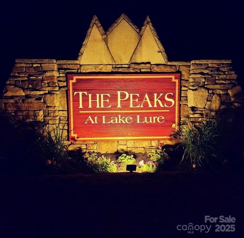 301 Peaks Drive, Lake Lure, NC 28746