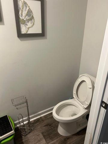 463 Ribbon Rail Way, Loris, SC 29569