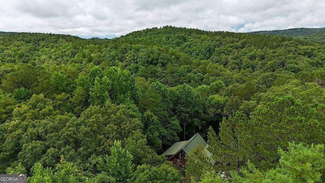 85 Hunter Drive, Talking Rock, GA 30175