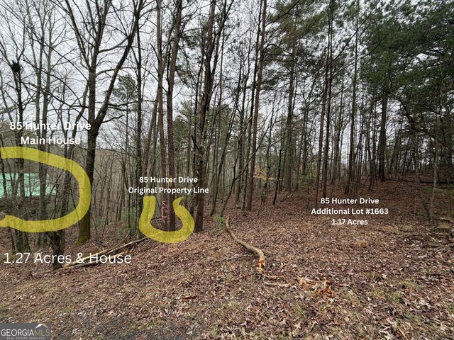85 Hunter Drive, Talking Rock, GA 30175