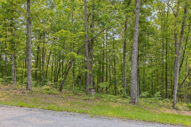 Lot 25 Crestview Point, Mineral Bluff, GA 30559