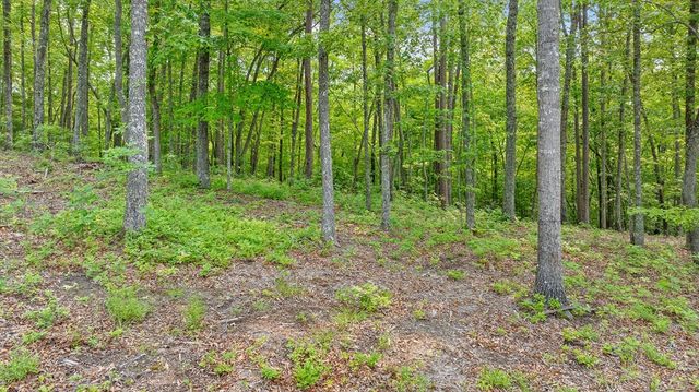 Lot 25 Crestview Point, Mineral Bluff, GA 30559