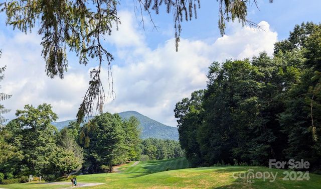 18 White Tail Drive, Sapphire, NC 28774