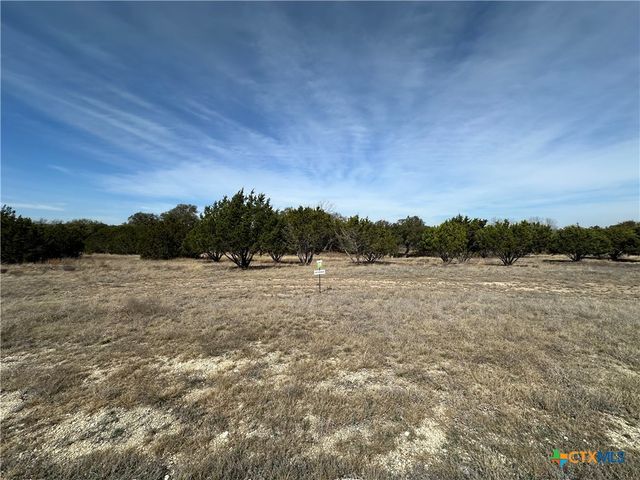 Lot 19 Burnet Oaks Drive, Burnet, TX 78611