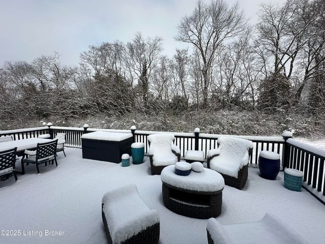 5525 Ruby Falls Dr, Prospect, KY 40059