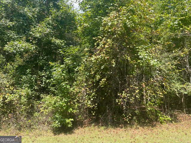 321 Clearview Drive W 10, Monticello, GA 31064