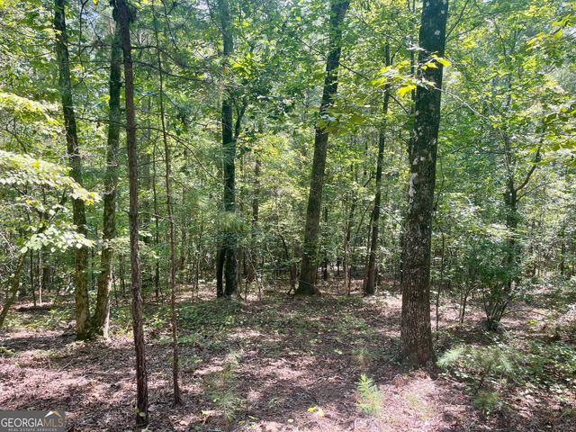 321 Clearview Drive W 10, Monticello, GA 31064