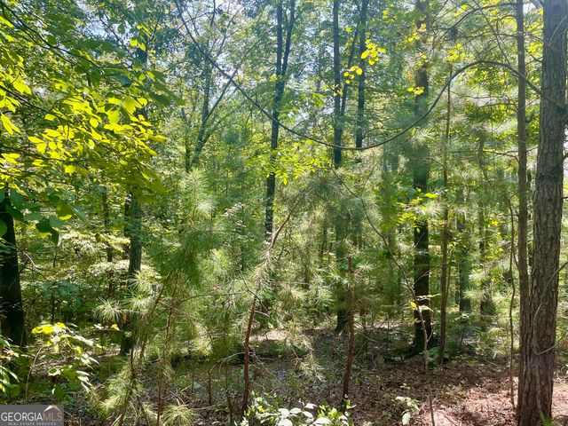 321 Clearview Drive W 10, Monticello, GA 31064
