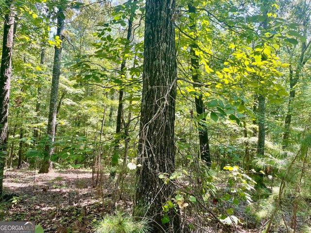 321 Clearview Drive W 10, Monticello, GA 31064