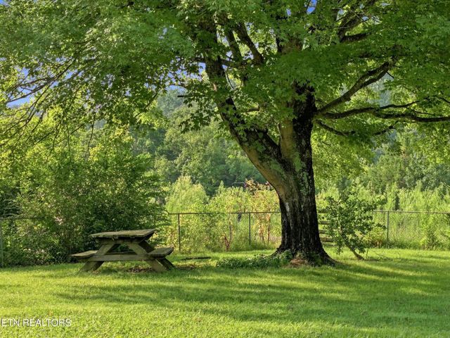 4317 Fulton Rd, Corryton, TN 37721