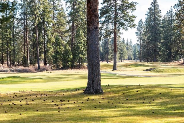 61022 Parrell Road, Bend, OR 97702