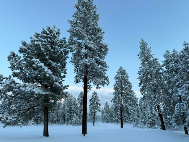 61022 Parrell Road, Bend, OR 97702