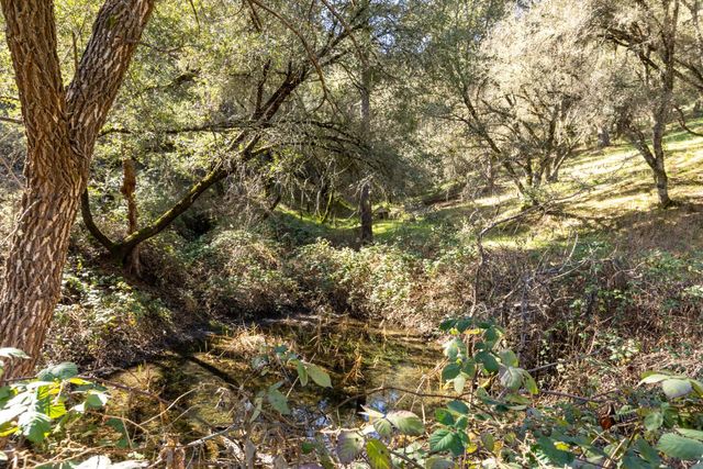 7001 Little Canyon Ct, El Dorado, CA 95623