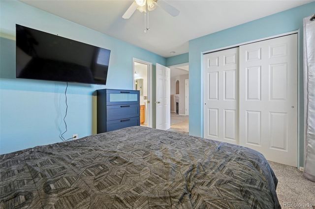 339 Ellers Grove, Colorado Springs, CO 80916