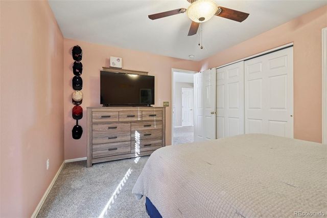 339 Ellers Grove, Colorado Springs, CO 80916