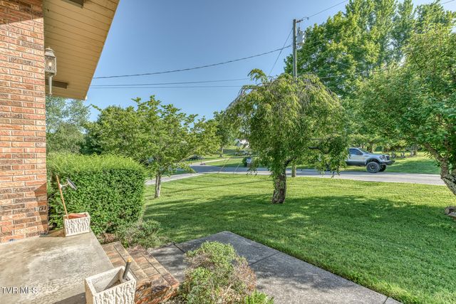 117 Dellwood Lane, Gray, TN 37615